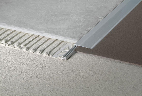 Anodized Aluminum Carpet Trim Foyer Of Hotel Plaza Bank
